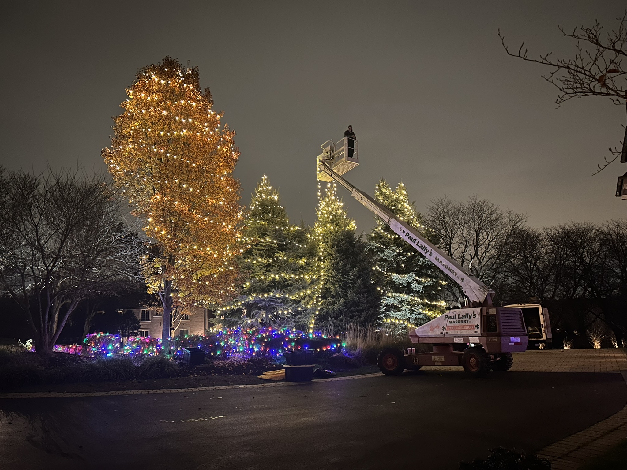 Twinkle Bros crew member in a bucket lift wrapping a tall tree with lights